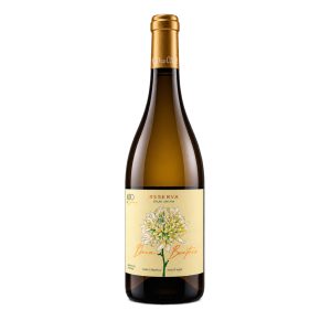 Branco Reserva Dona Beatriz 2024